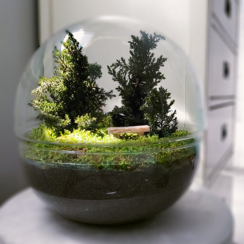 GRAN BOSQUE PRESERVADO