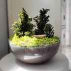 GRAN BOSQUE PRESERVADO