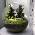 GRAN BOSQUE PRESERVADO