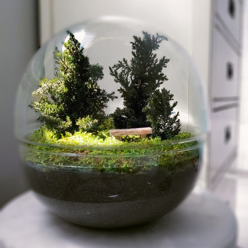 GRAN BOSQUE PRESERVADO