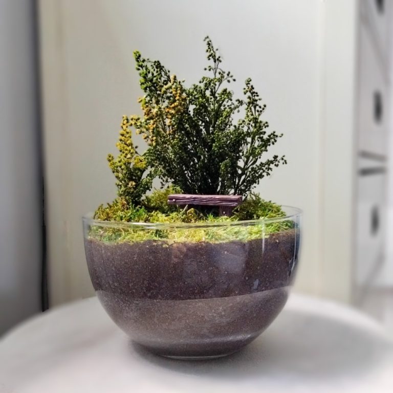 JARDÍN PRESERVADO